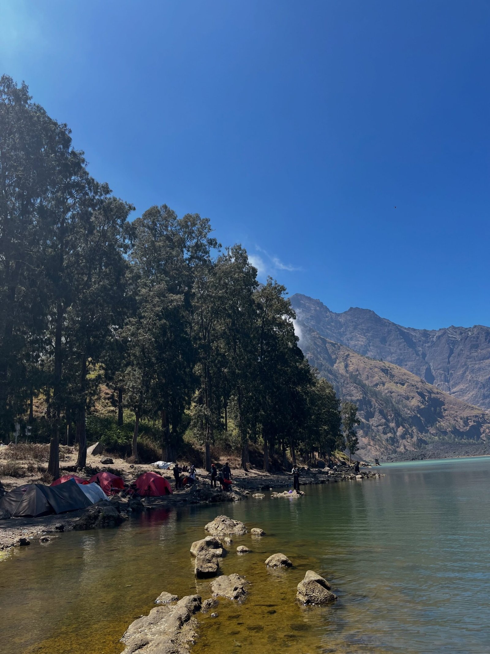 Rinjani Trend Guide 2026 Eco Tourism Camp
